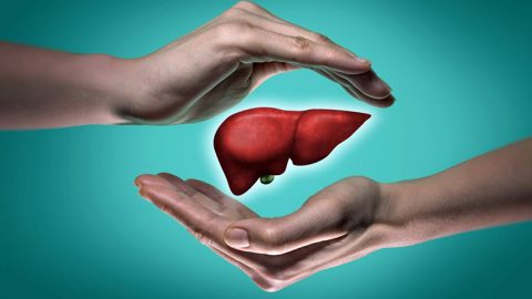 Stem Cell Treatment for Liver Disease in Delhi, India
