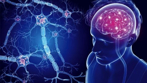 Multiple Sclerosis Stem Cell Treatment