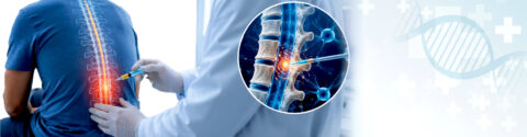 Stem Cell Treatment for Spinal Cord in Delhi, India