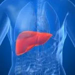 liver-stemcellcareindia