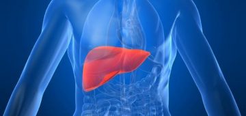 liver-stemcellcareindia