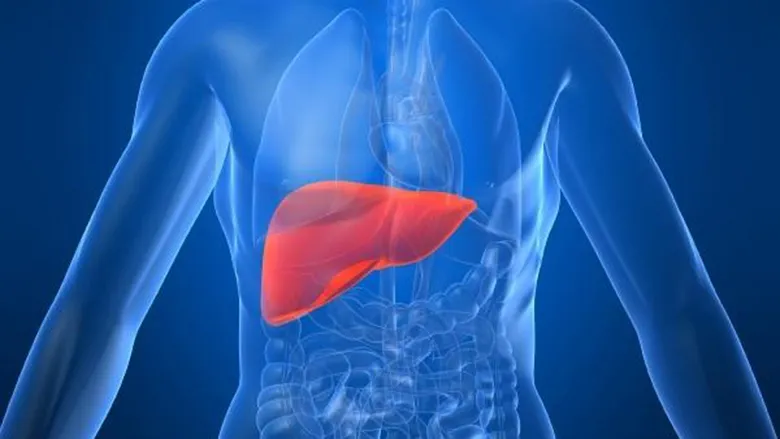 liver-stemcellcareindia