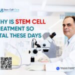 Why is Stem Cell Treatment So Vital These Days?