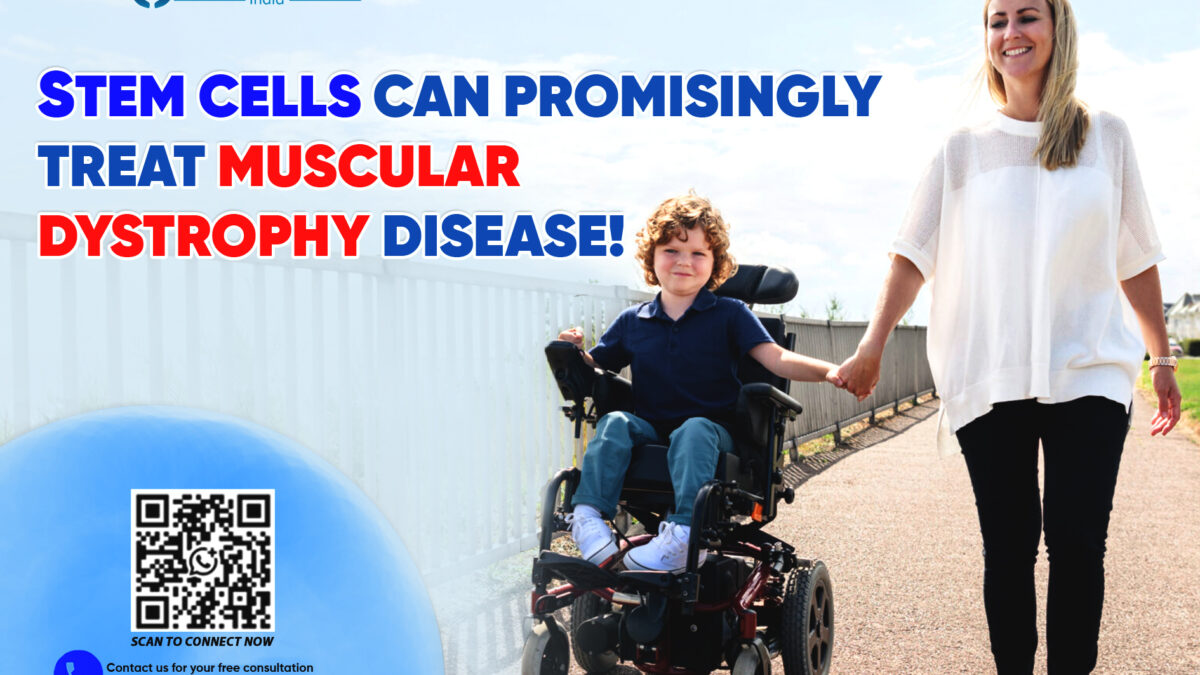 Stem Cells Can Promisingly Treat Muscular Dystrophy Disease!