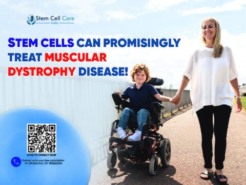 Stem Cells Can Promisingly Treat Muscular Dystrophy Disease!