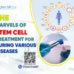 The Marvels of Stem Cell Treatment for Curing Various Diseases