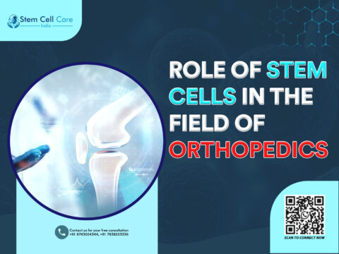 Role of Stem Cells in the Field of Orthopedics