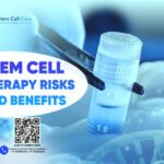 Stem Cell Therapy Risks And Benefits
