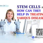 Stem Cells and How Can They Help in Treating Various Diseases