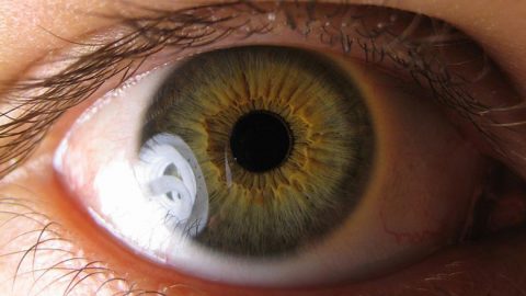 Stem Cell Treatment for Eyes in Delhi, India