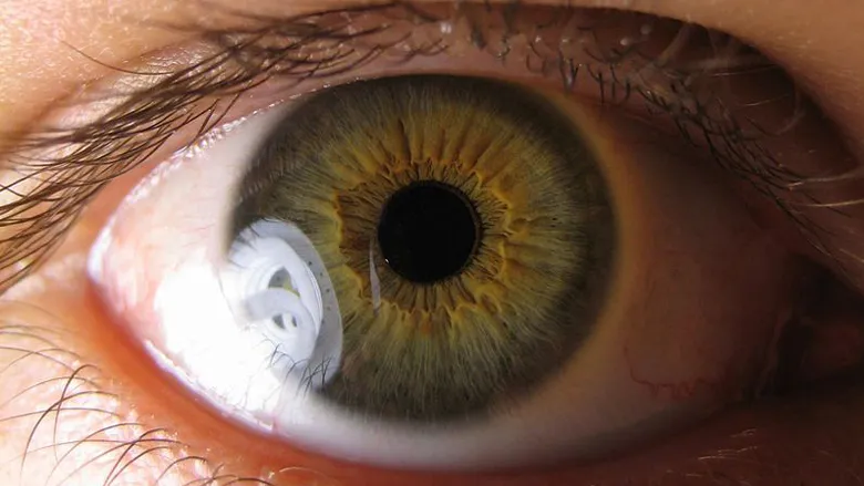 Stem Cell Treatment for Eyes in Delhi, India