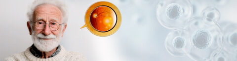 Age Related Macular Degeneration