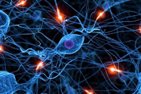 Neurodisorder