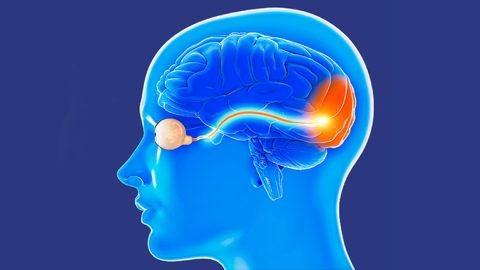 Optic Neuropathy Stem Cell Treatment