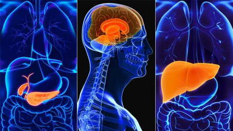 Organ Specific Stem Cell Treatment in India