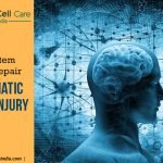 Can Stem Cells Repair Traumatic Brain Injury