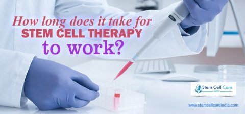 How Long Does It Take For Stem Cell Therapy to Work