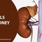 Can stem cells help kidney disease?