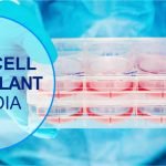 Stem Cell Transplant In India