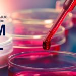 Stem Cell Therapy