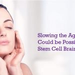 Slowing the Ageing Process Could be Possible with Stem Cell Brain Implants