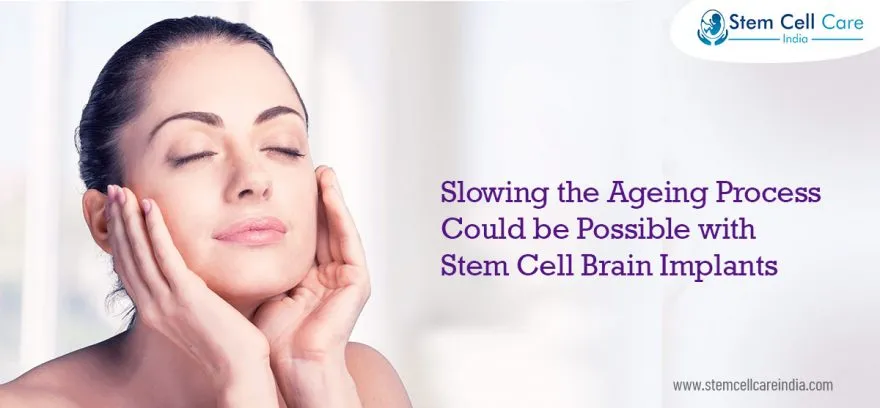 Slowing the Ageing Process Could be Possible with Stem Cell Brain Implants