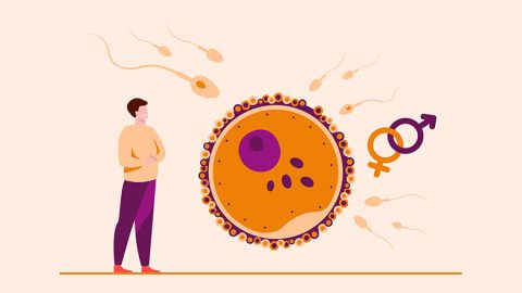Stem Cell Therapy for Male Infertility in India