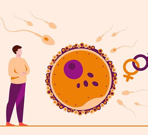 Stem Cell Therapy for Male Infertility
