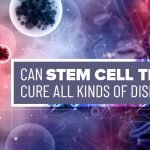Can Stem Cell Therapy Cure All Kinds of Diseases?