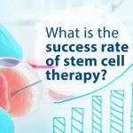 What Is The Success Rate Of Stem Cell Therapy?
