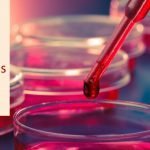 How Expensive Is Stem Cell Therapy?