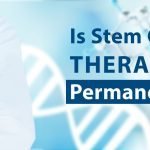 Is Stem Cell Therapy Permanent?