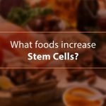 What Foods Increase Stem Cells?
