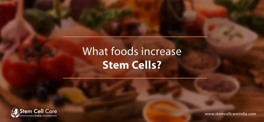What Foods Increase Stem Cells?