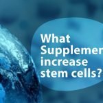 What Supplements Increase Stem Cells?
