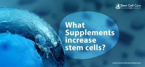What Supplements Increase Stem Cells?