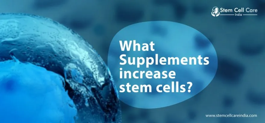 What Supplements Increase Stem Cells?