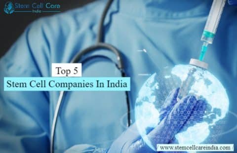 top 5 stem cell companies in india