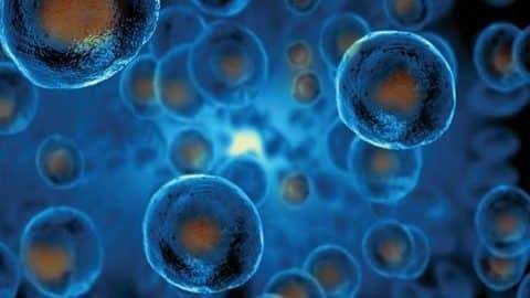 Study Finds how to Upsurge the Survival Time of Stem Cells