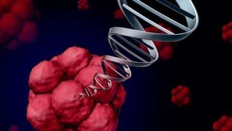 Stem Cell Treatment