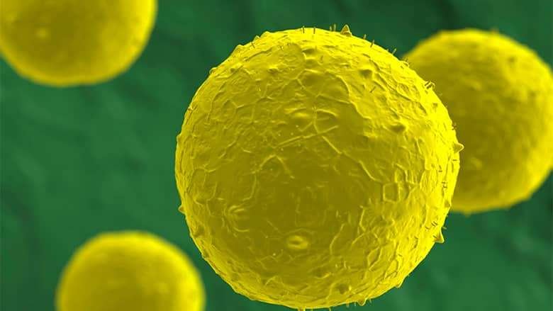 Stem Cell Treatment
