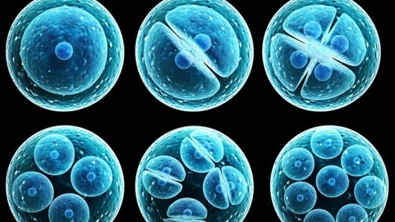 Stem Cell Treatment