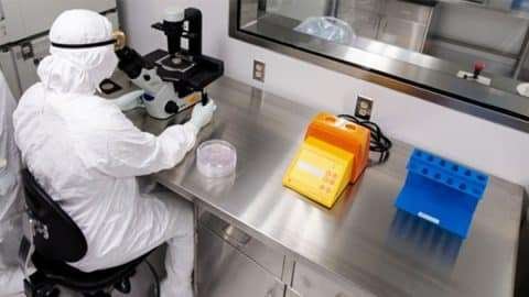 Stem Cell Therapy