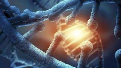 Stem Cell Therapy