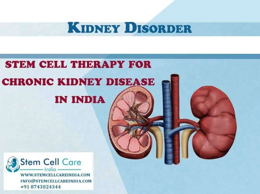 Stem Cell Therapy Kidney Disease