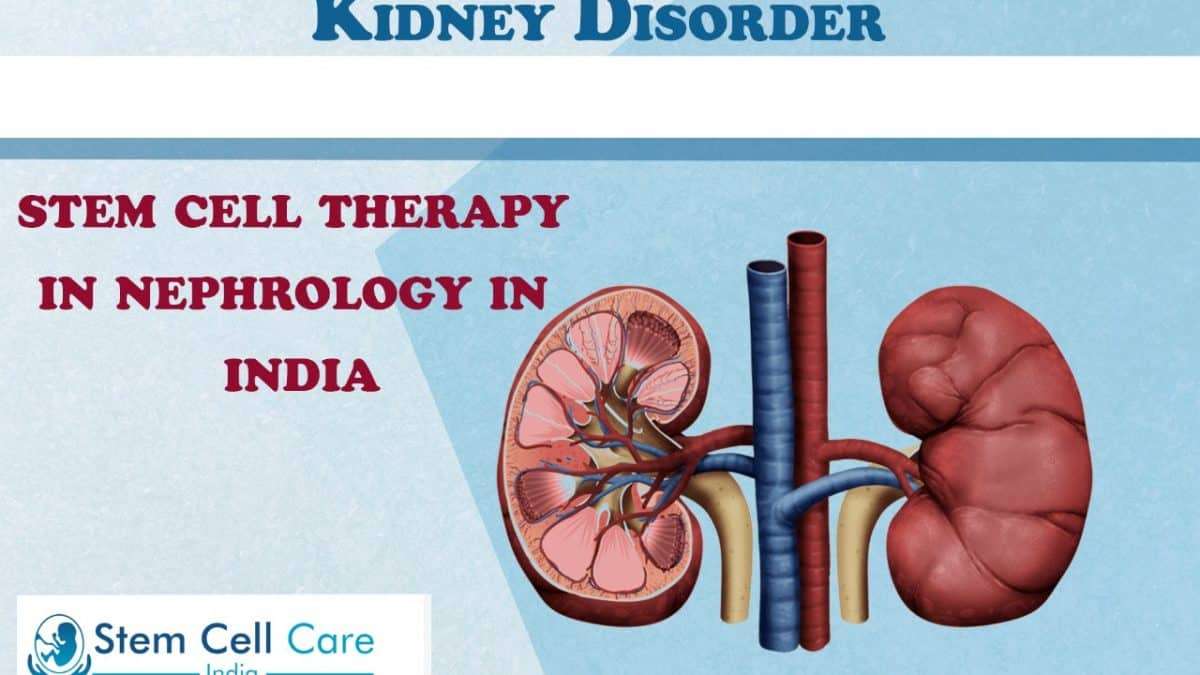 Stem Cell Therapy Kidney Disease