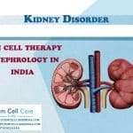 Stem Cell Therapy Kidney Disease