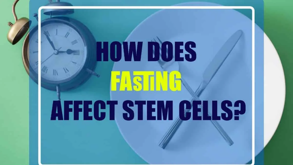Stem Cell Therapy