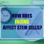Stem Cell Therapy