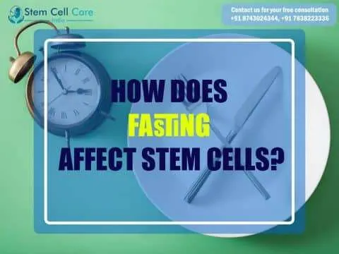Stem Cell Therapy